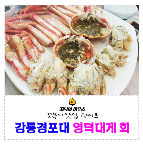 영덕대게 이미지