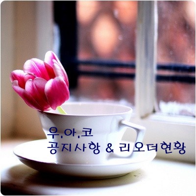 코랑마켓 이미지