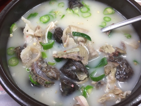 용인 순대국 이미지