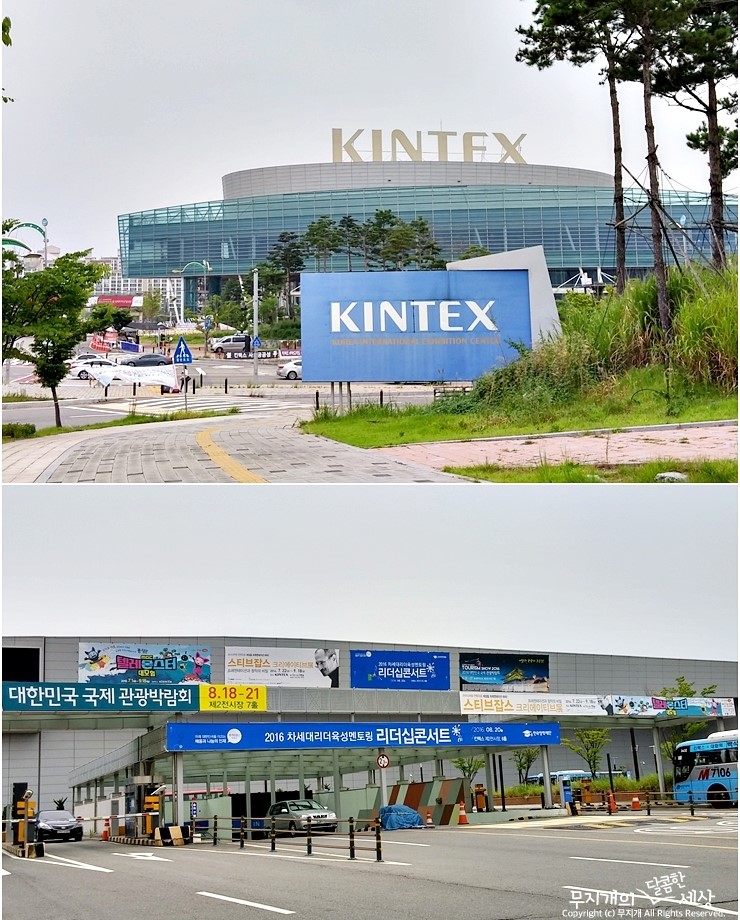 스티브크리에이티브 이미지