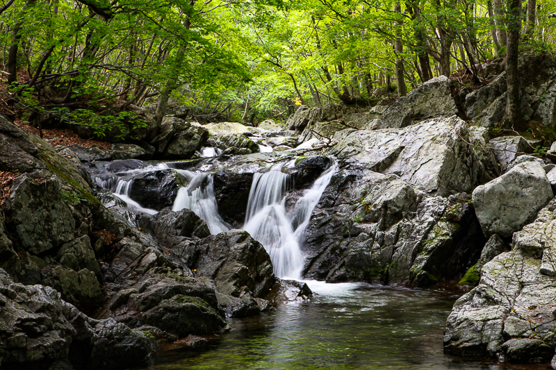산골산내음 이미지
