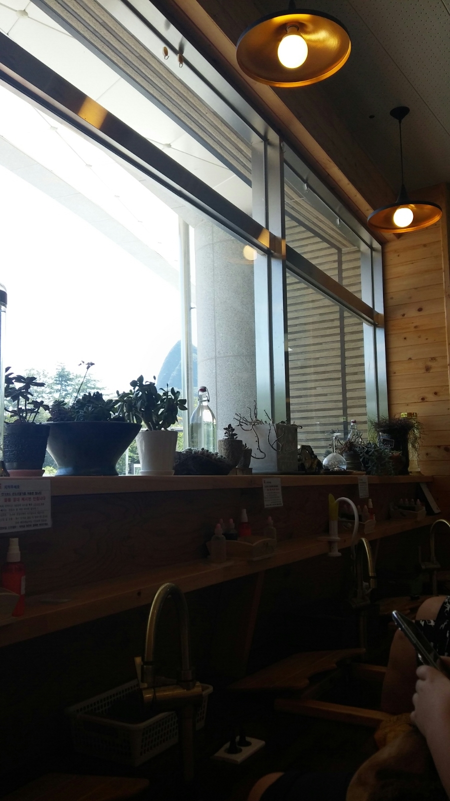 마이산홍삼족욕카페 이미지