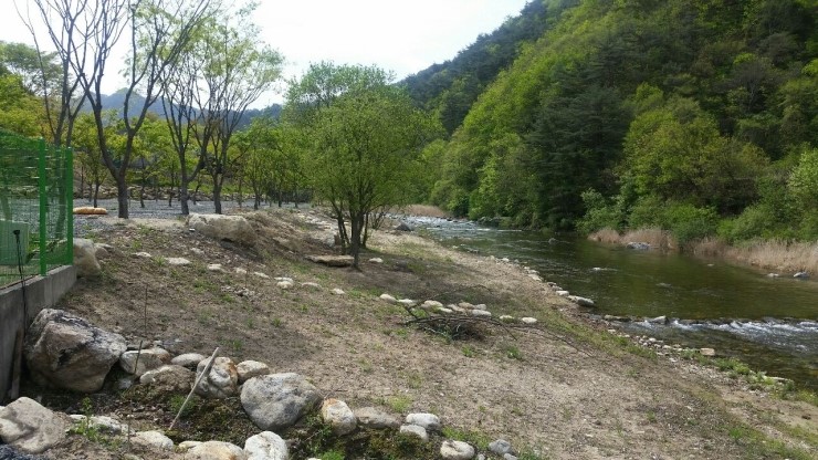 이동계곡 캠핑장 이미지