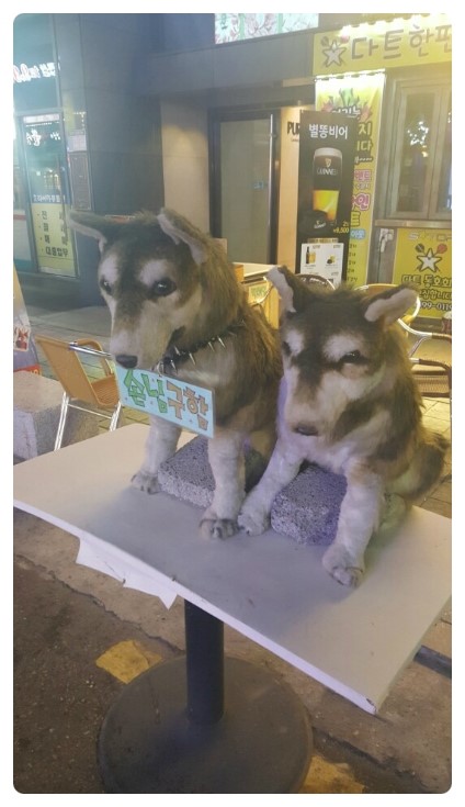 별똥비어 이미지