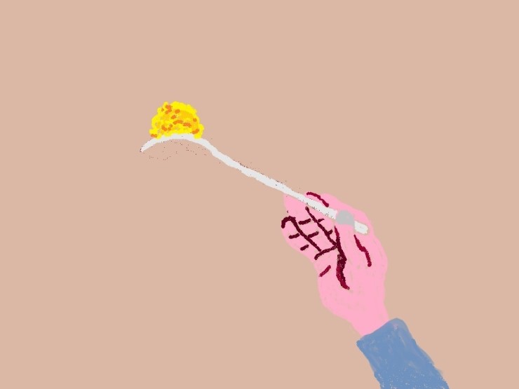 그레이스(GRACE) 이미지