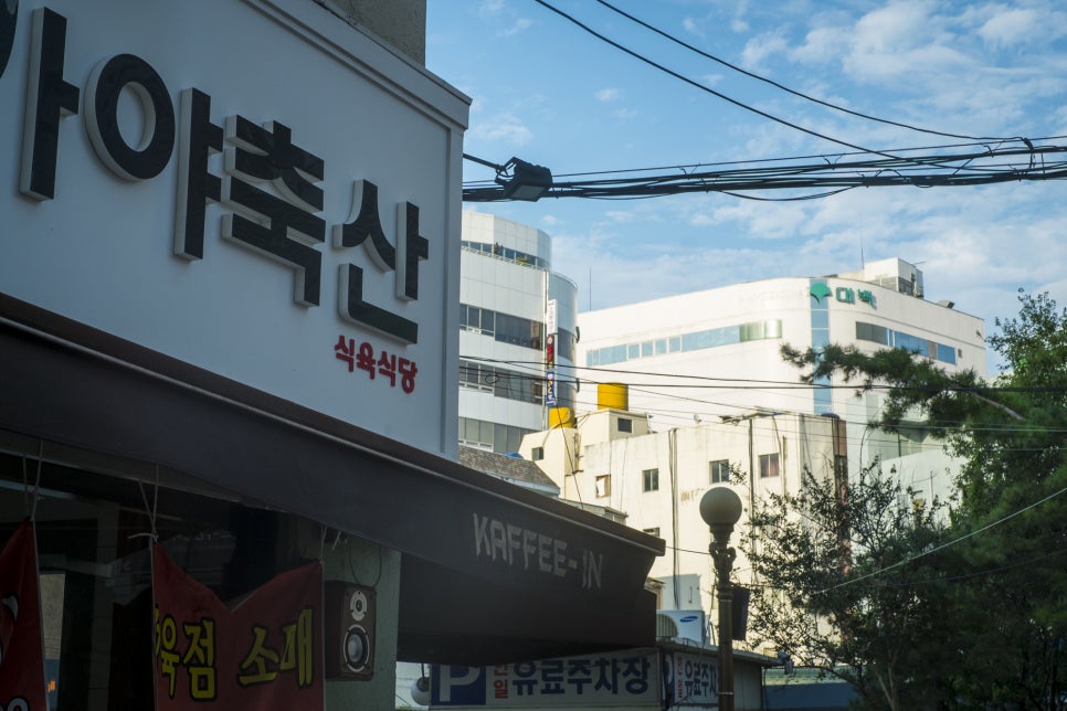 대백축산 이미지