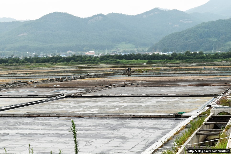 (주)곰소식품 이미지