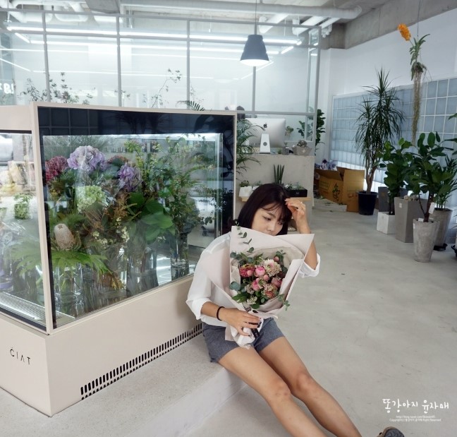씨앝 이미지