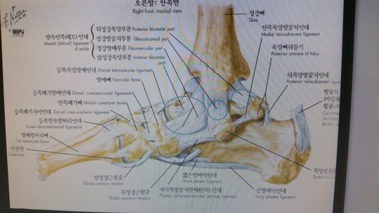 동그라미한의원 이미지