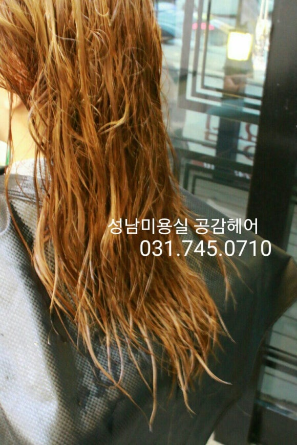 돼지꼬리미용실 이미지