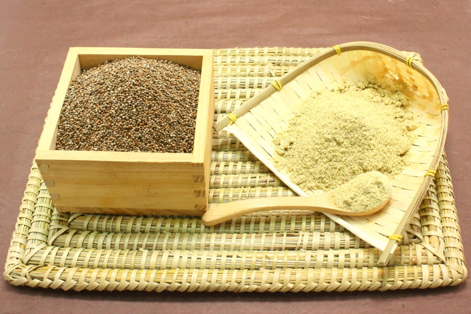 고참들 마당 이미지