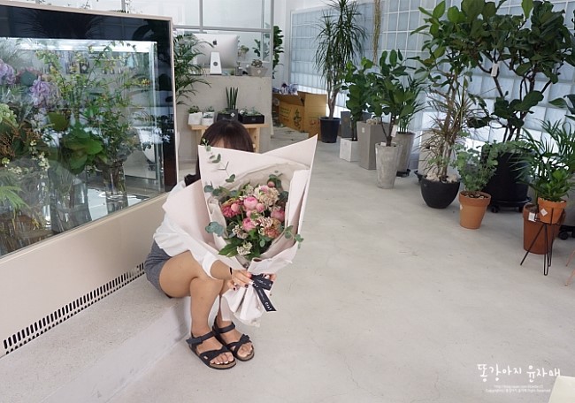 씨앝 이미지