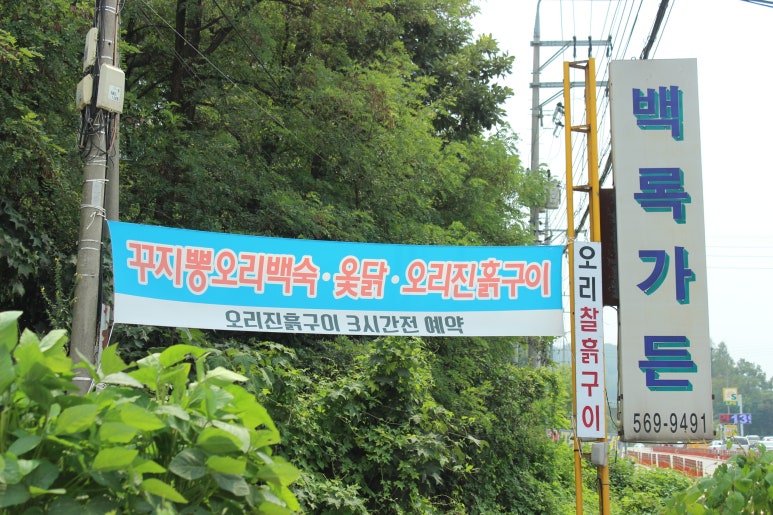고향집가든 이미지
