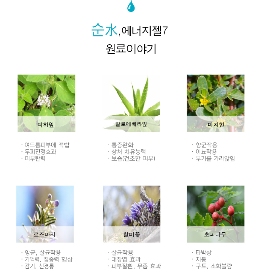 (주)스와디시크릿 이미지