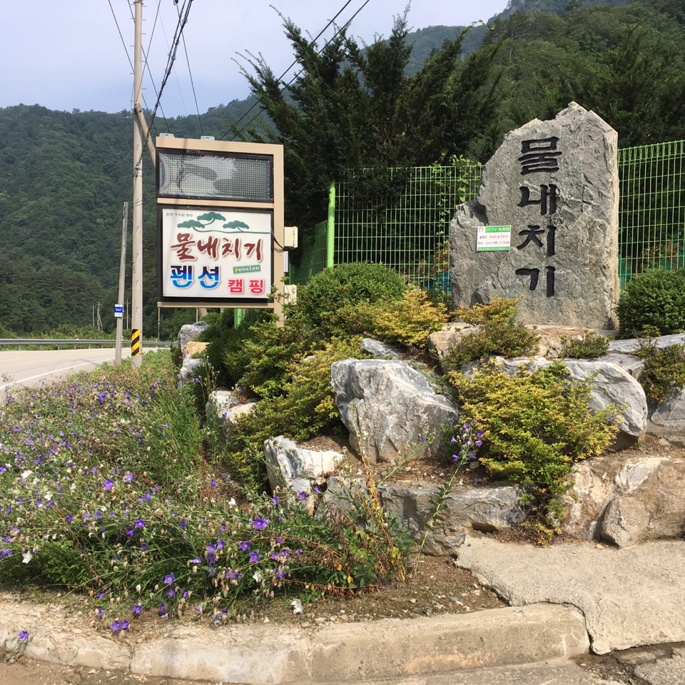물내치기 이미지