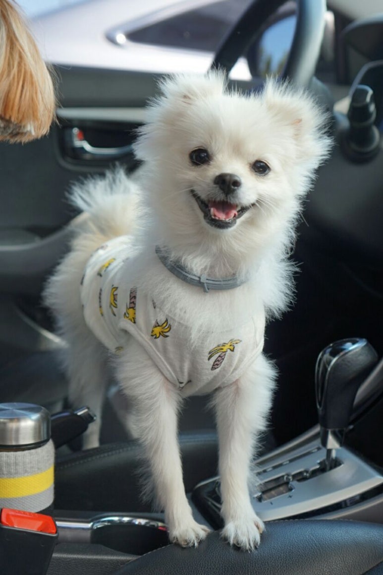 (주)멍비치 이미지