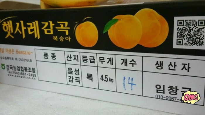 환규네과수원 이미지