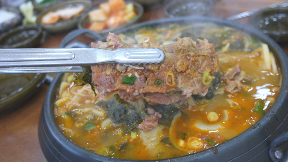 참뼈 이미지