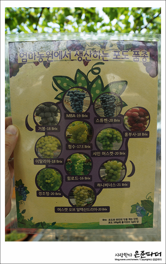 엄마사랑농원 이미지