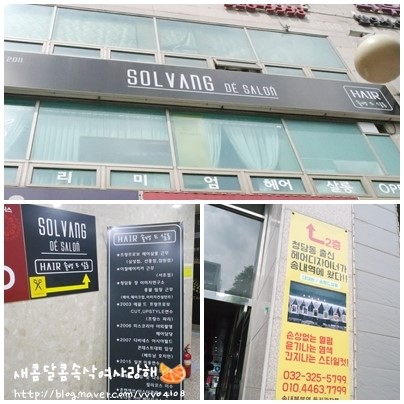 솔뱅드살롱 이미지
