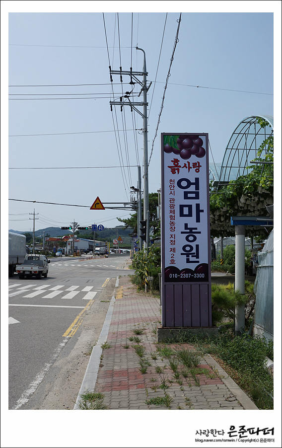 엄마사랑농원 이미지