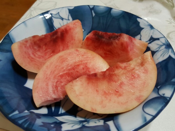 환규네과수원 이미지
