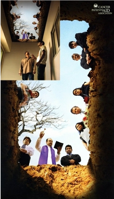 오동담배 이미지