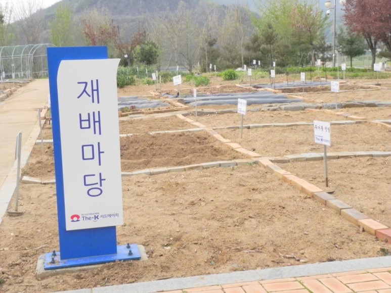 서드케이 이미지