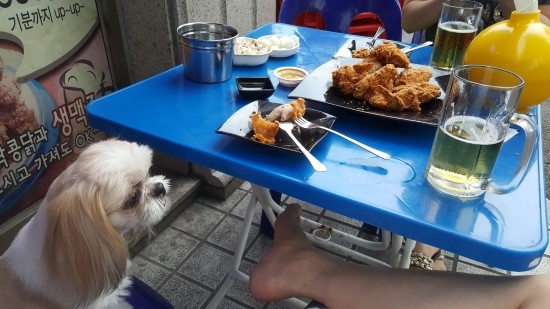 오늘도콩닭콩닭 이미지