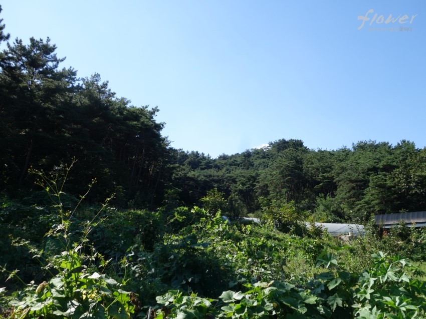 문산정수장 이미지