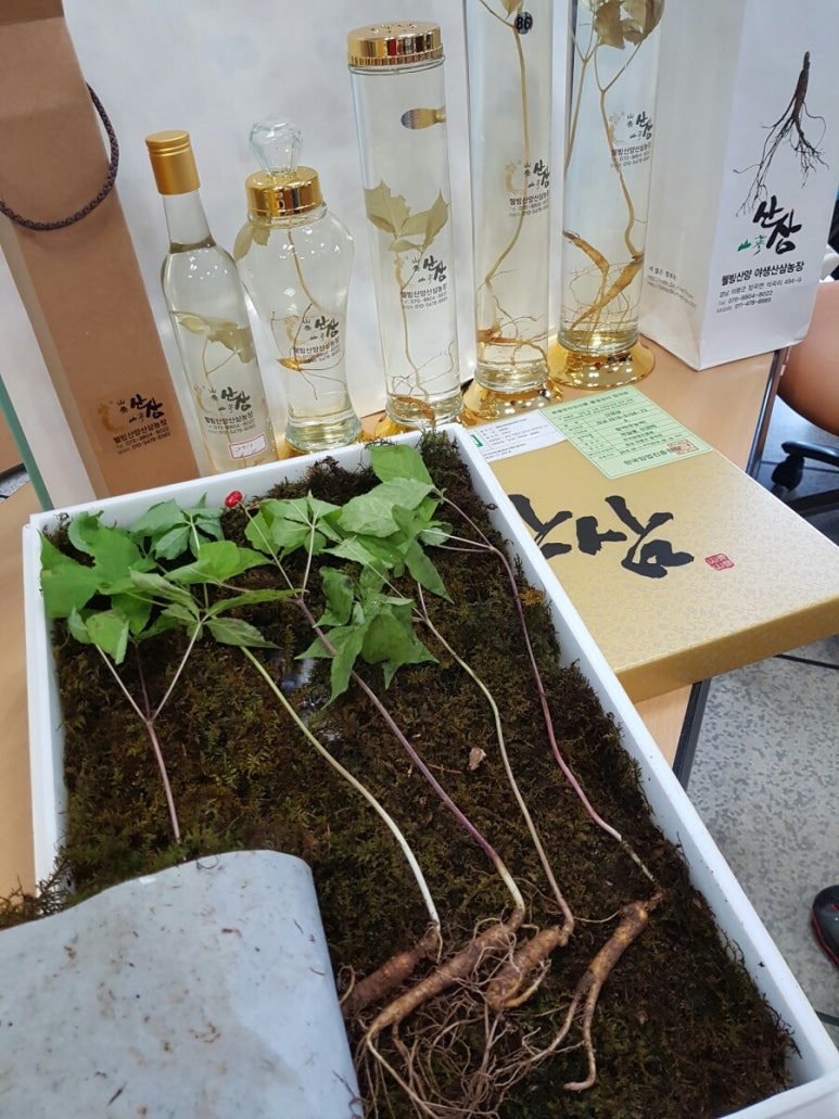 산삼하우스 이미지