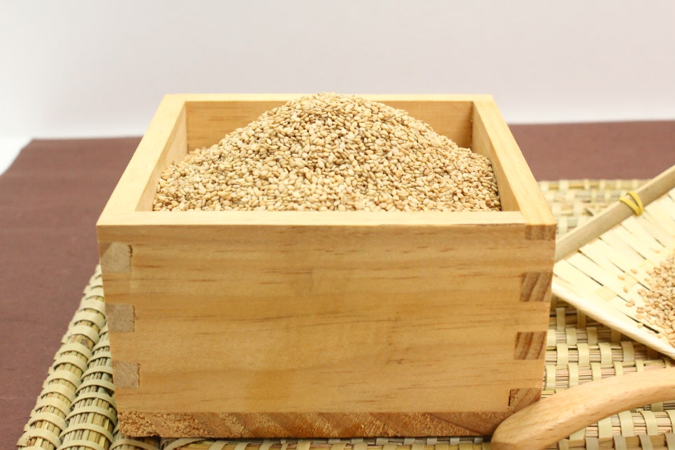 고참들 마당 이미지