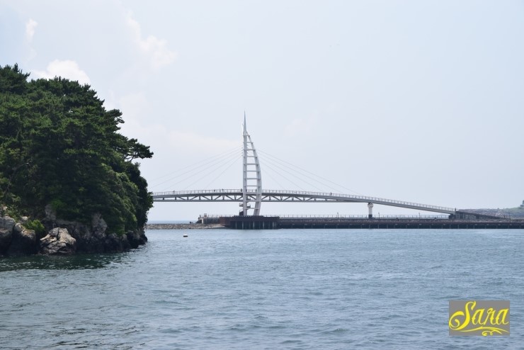스쿠버스토리 이미지