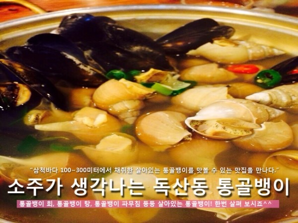 바다 통골뱅이 이미지