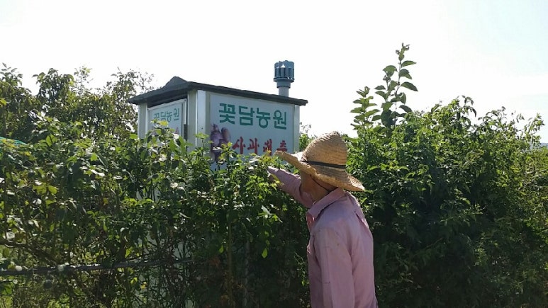 꽃담농원 이미지