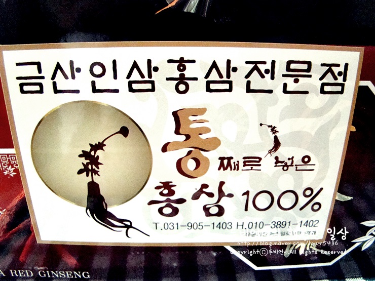 홍삼 정다원 이미지