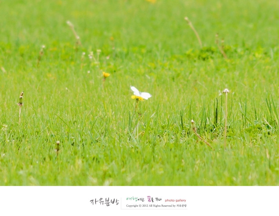 갤러리시선 이미지