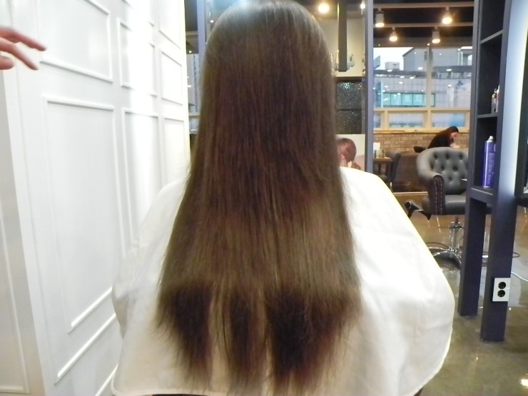 트레보헤어 이미지