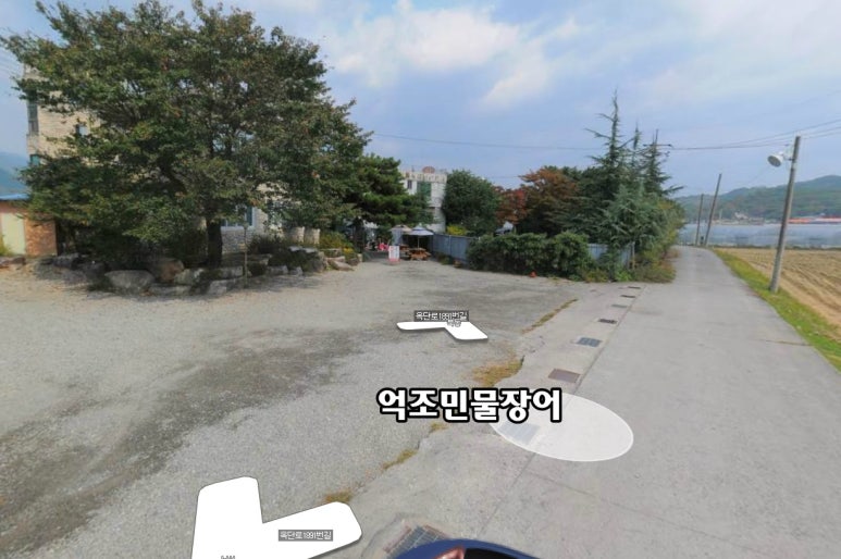 억조민물장어 이미지