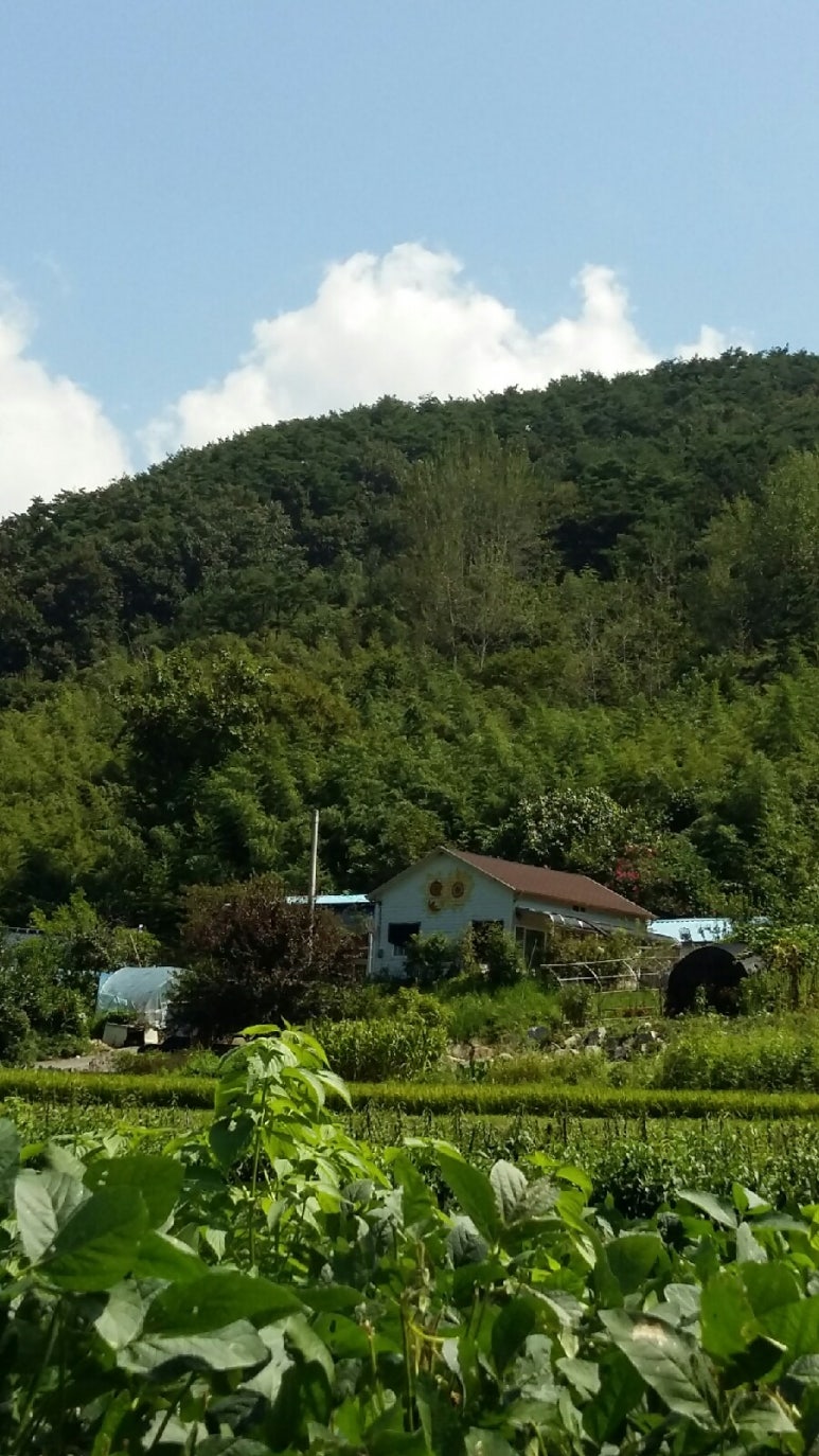 담양부엉이집 이미지