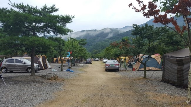 솔바람캠핑장 이미지