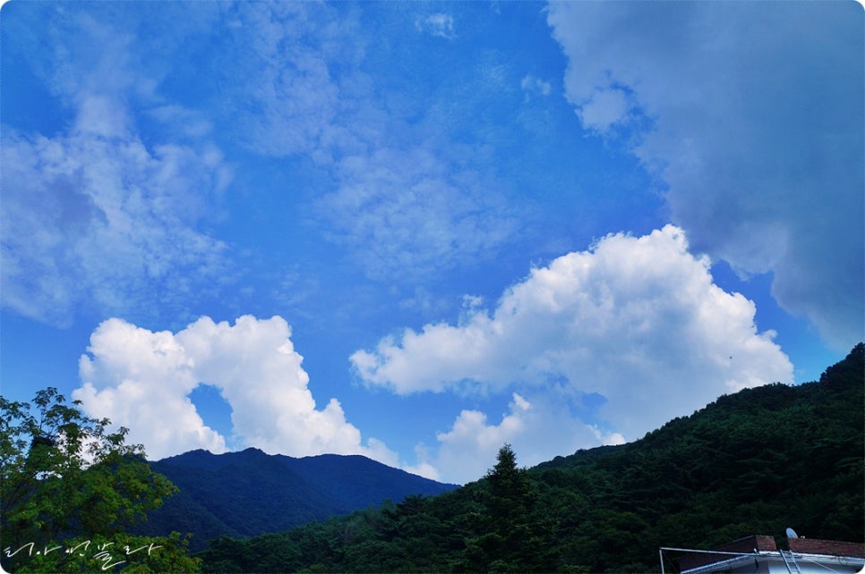 마트타운(지리산점) 이미지