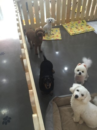 순대놀이터 이미지