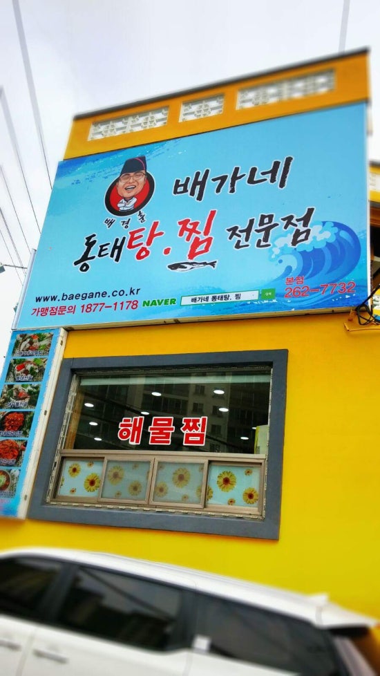 배가네 이미지