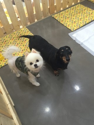 순대놀이터 이미지