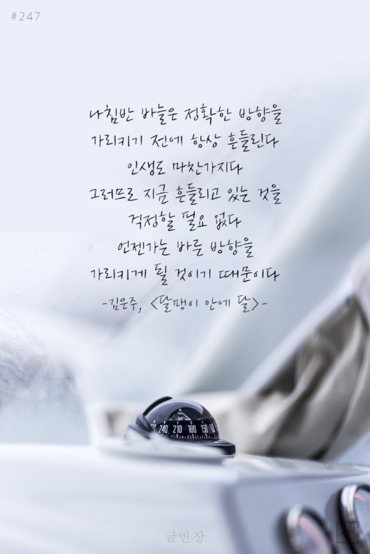 탑베리타스 이미지