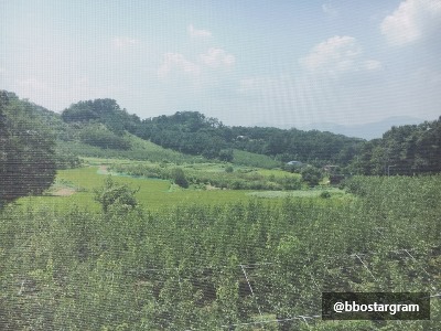 배로농원 이미지
