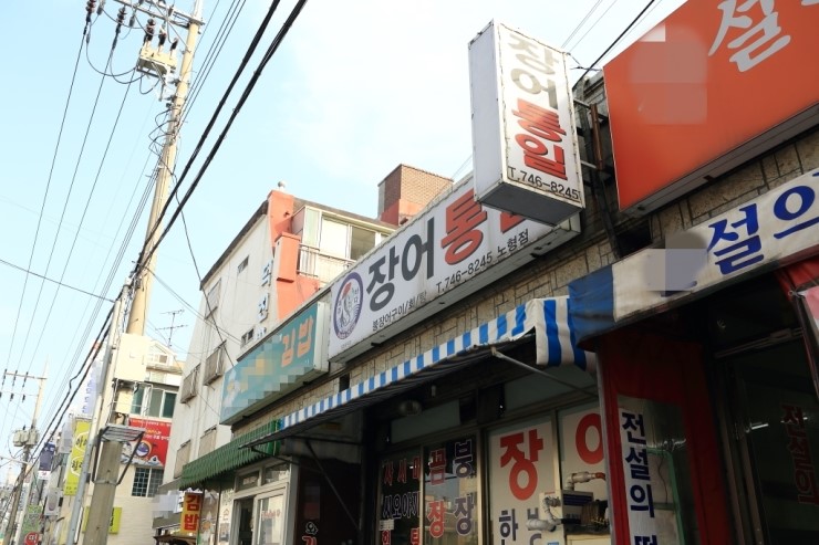 노형바다장어 이미지
