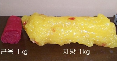 나인짐 이미지