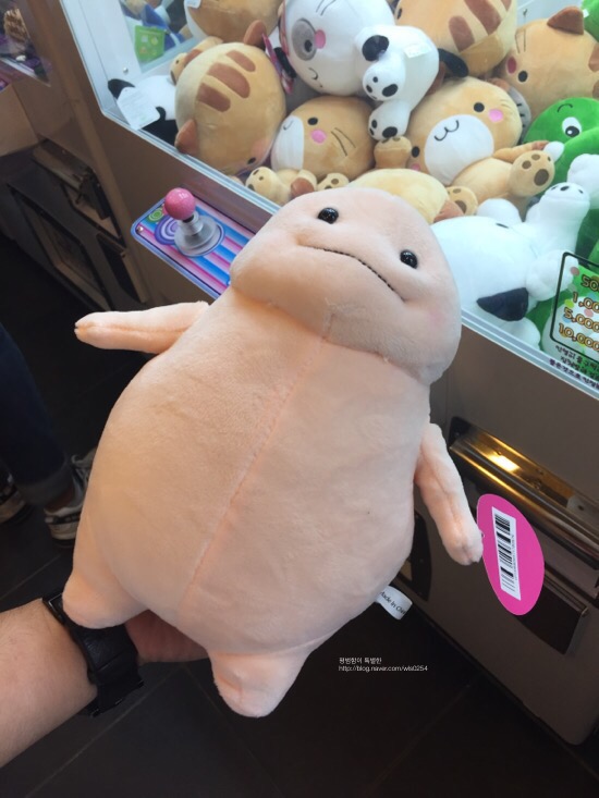 뽑아봅세 이미지